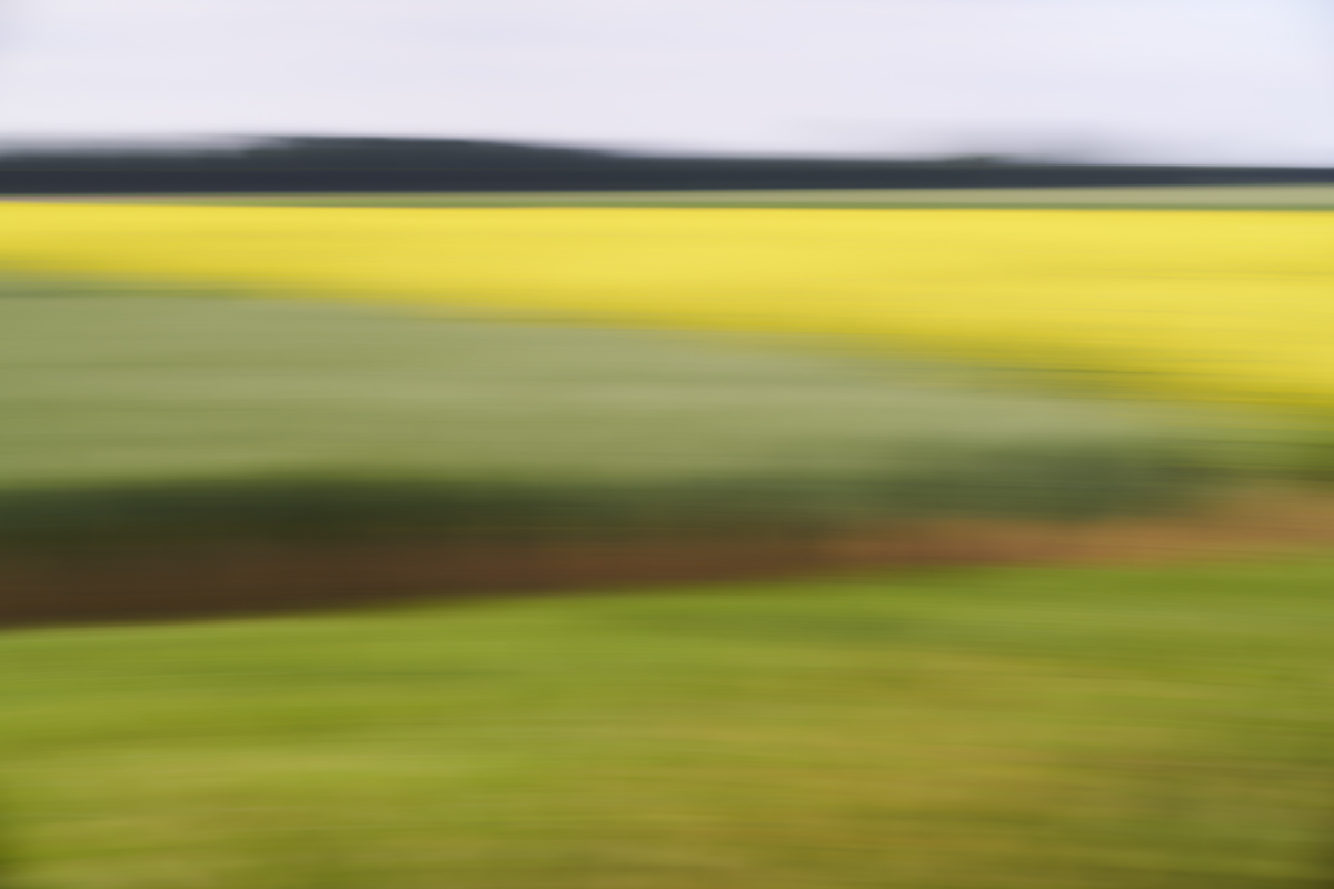 Lanschaftsbild aus horizontal bewegter Kamera